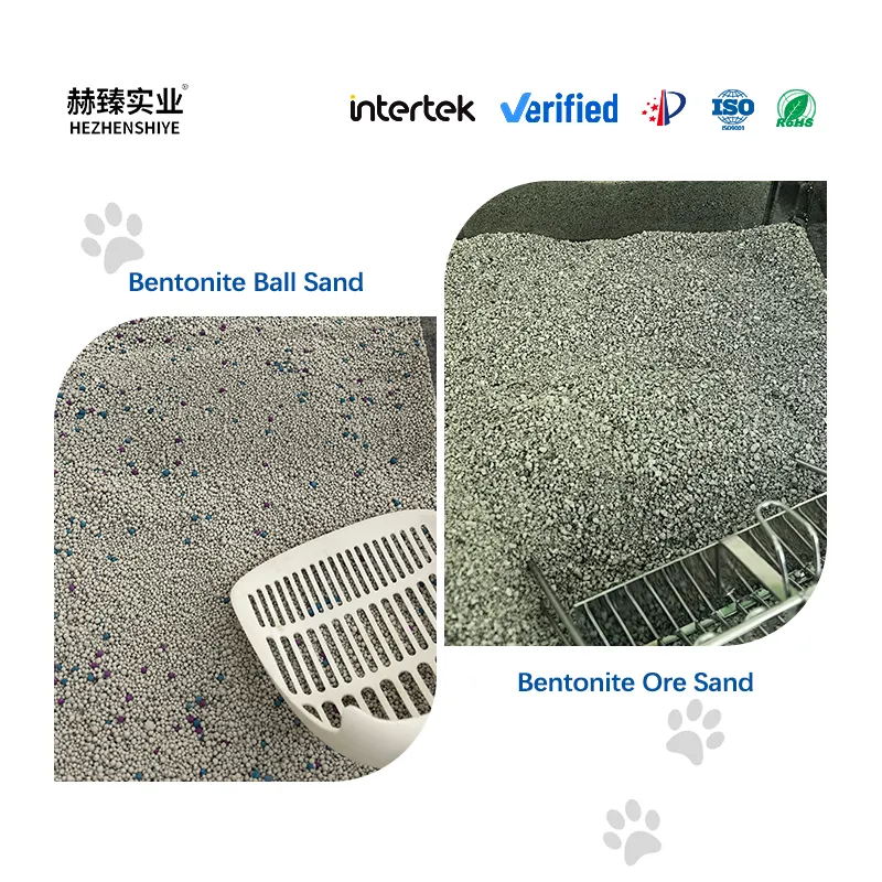 Bentonite Cat Litter Gains Global Traction: Pellet & Ore Variants Drive Market Growth with Targeted Advantages