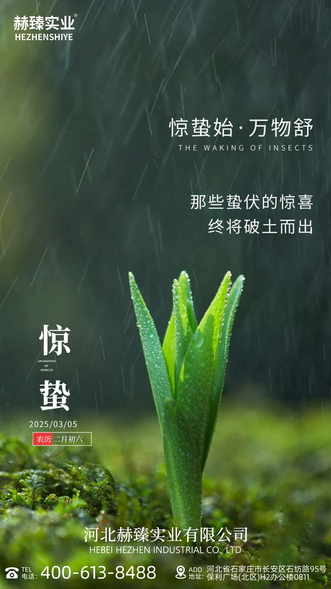 Awakening of Insects Sign of Spring's Arrival