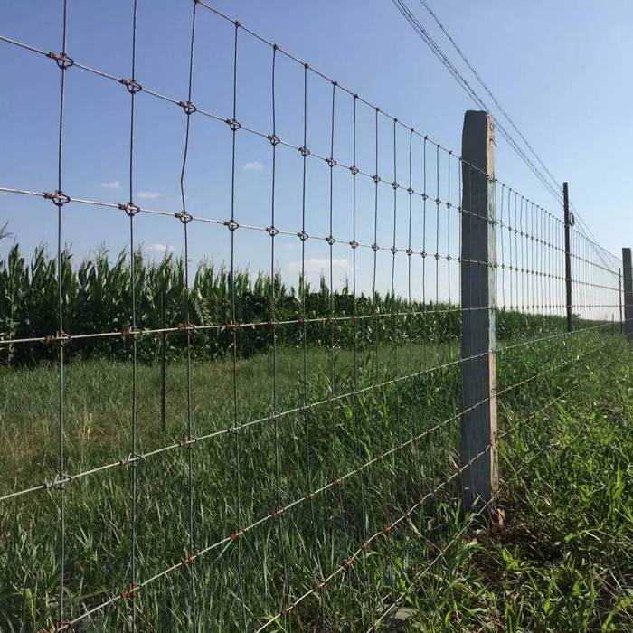 Wholesale Field Fencing For Sale | Fixed Knot & Hinge Joint Fence
