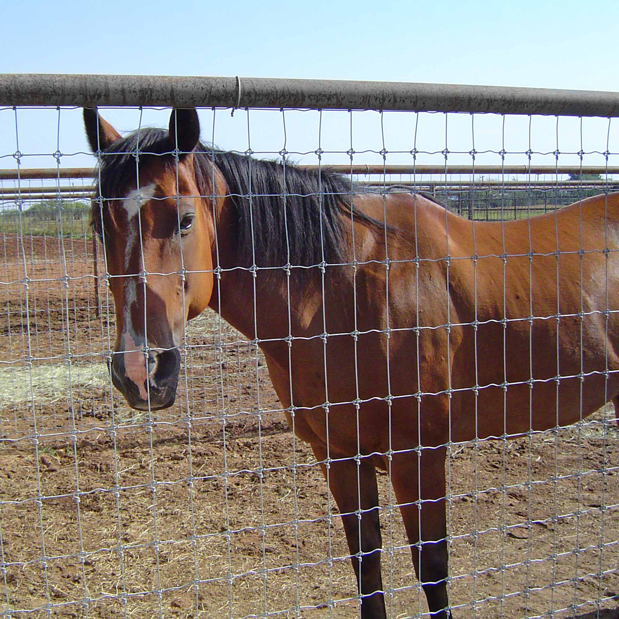 Wholesale Field Fencing For Sale | Fixed Knot & Hinge Joint Fence
