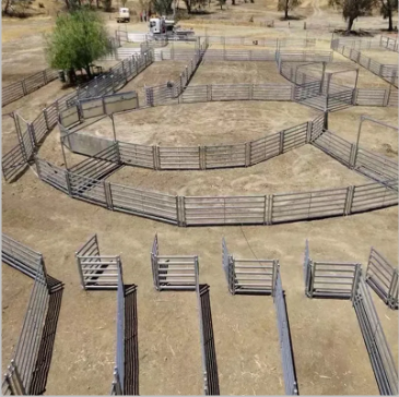 Cattle Fence Factory for Quality Production