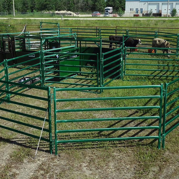 Portable Calf Pens For Sale Farm Use Ready