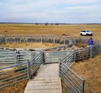 ODM Cattle Fence For Daily Farm Use