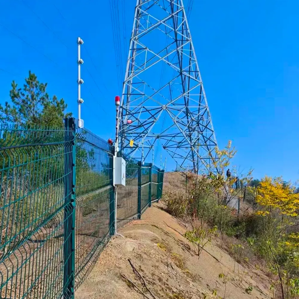 Electric Fencing System For Home Entry