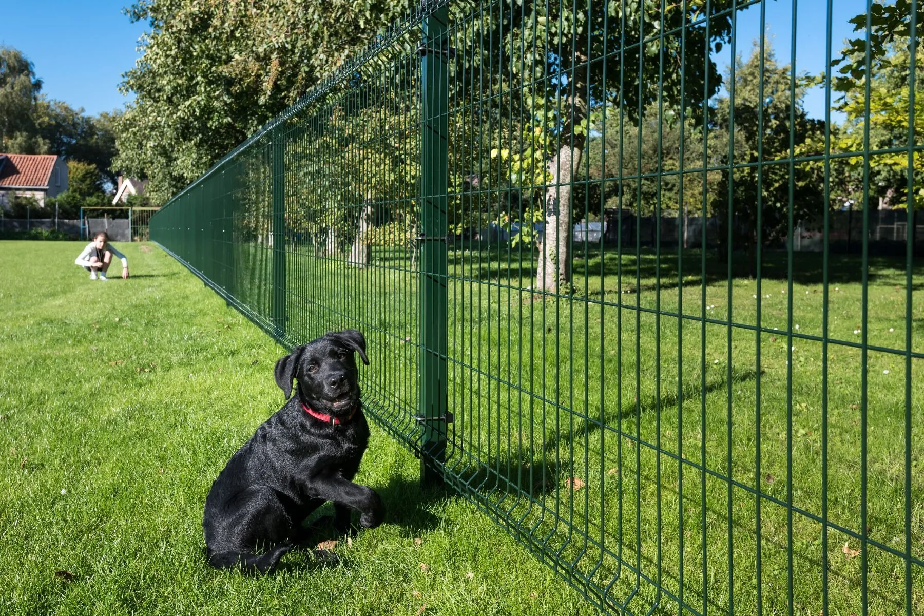 Innovative 3D Bending Fence Technology Revolutionizes Modern Security Solutions