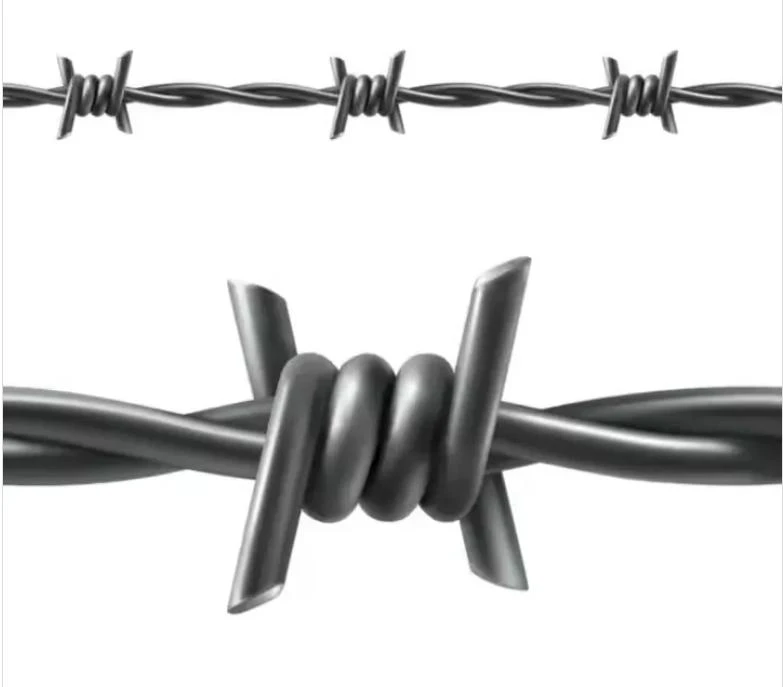 Explore the Advantages of Barbed Wire