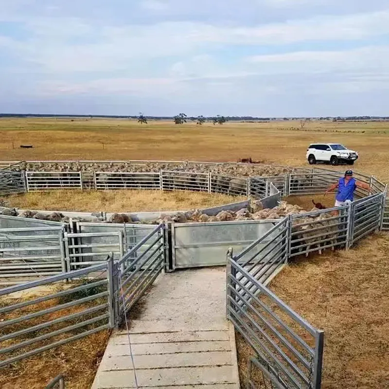 Sheep Fencing for Sale | Heavy-Duty, Predator-Proof Panels