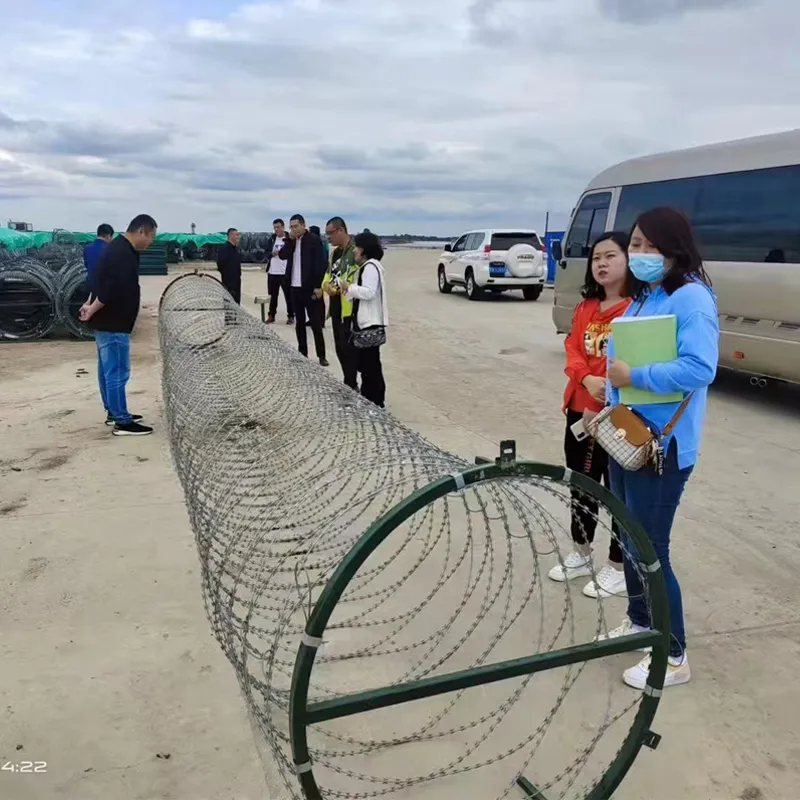 Razor Mesh Wire for Sale: Factory Price, Fast Delivery?