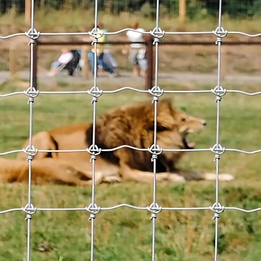 Field Fence & Farm Fence-Durability&Customization|Agricultural Security