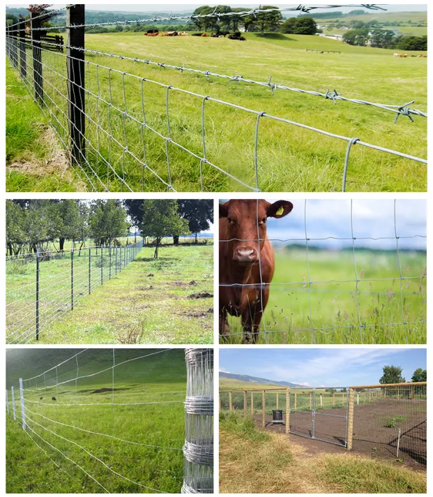Read More About fixed knot fence for sale