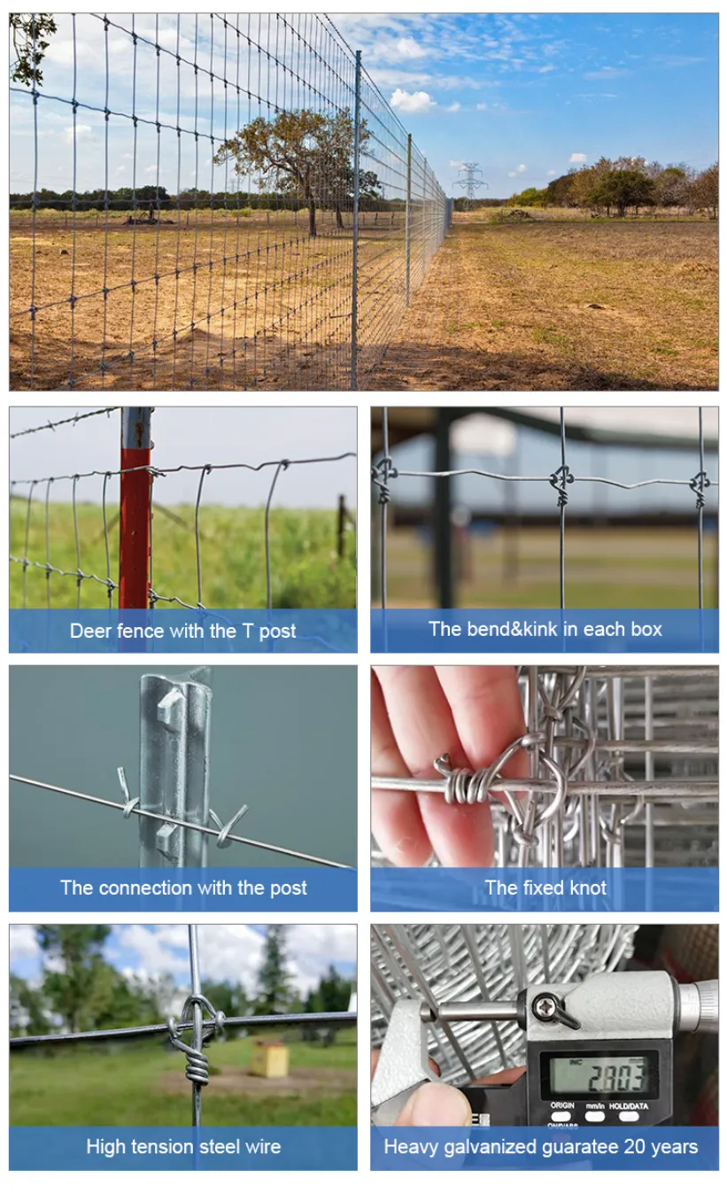 Read More About 8 ft deer fence for sale