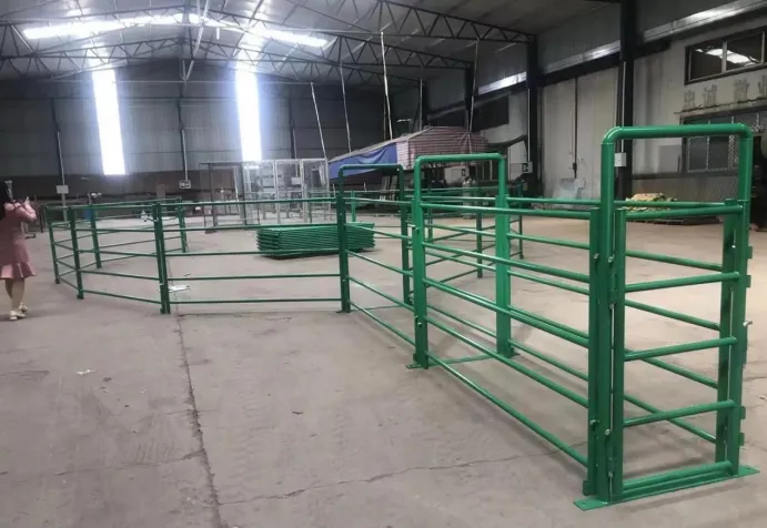 Read More About calf pens for sale