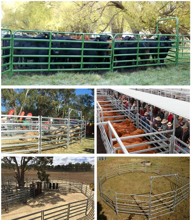 Read More About cattle pens for sale