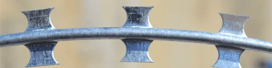 Read More About green razor wire