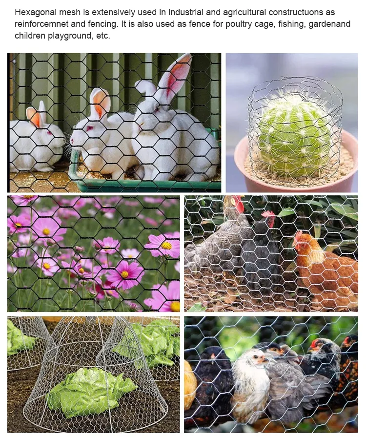 Read More About hexagonal wire mesh