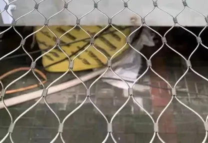 Read More About wire rope netting