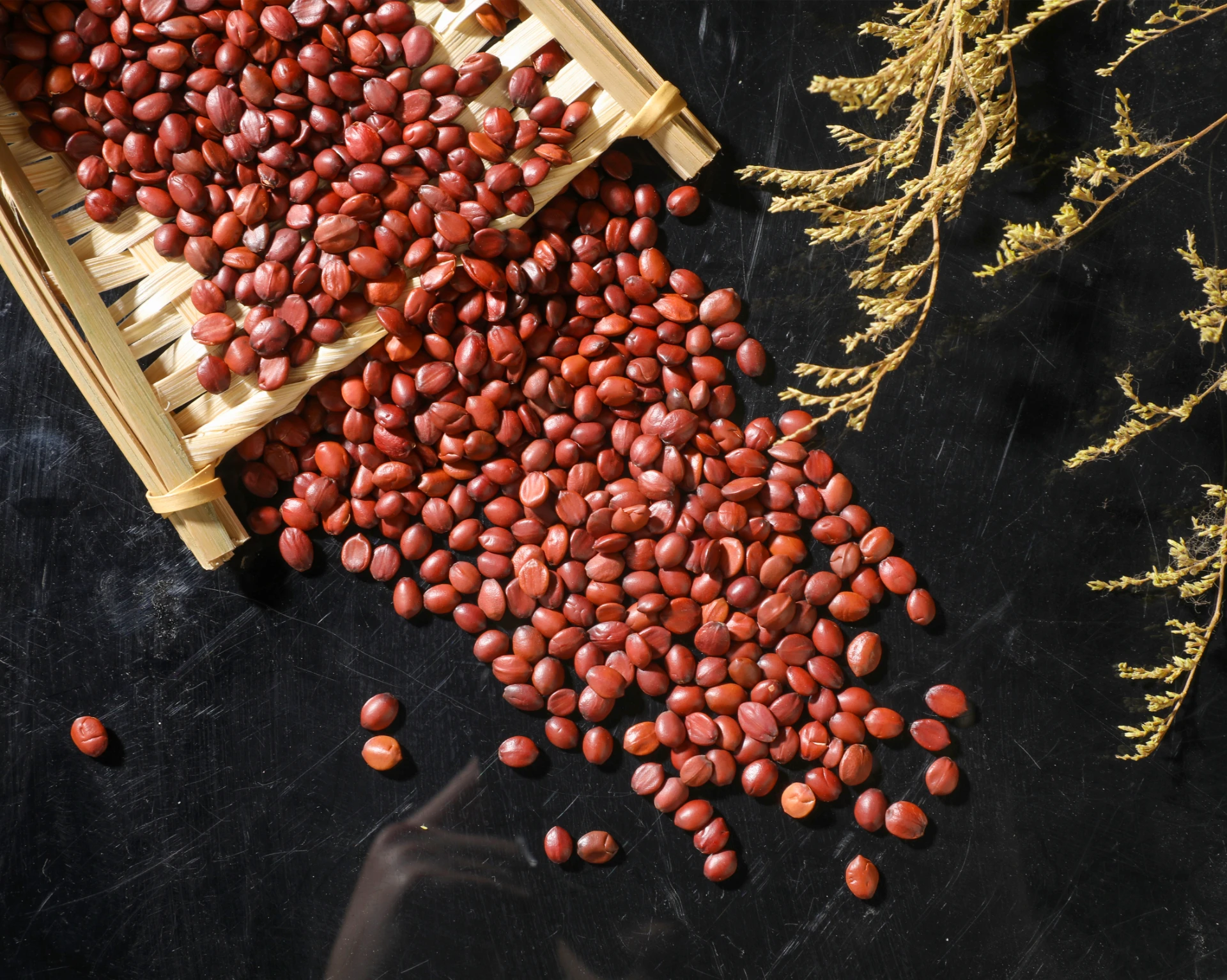 Come to the World of Jujube Tea