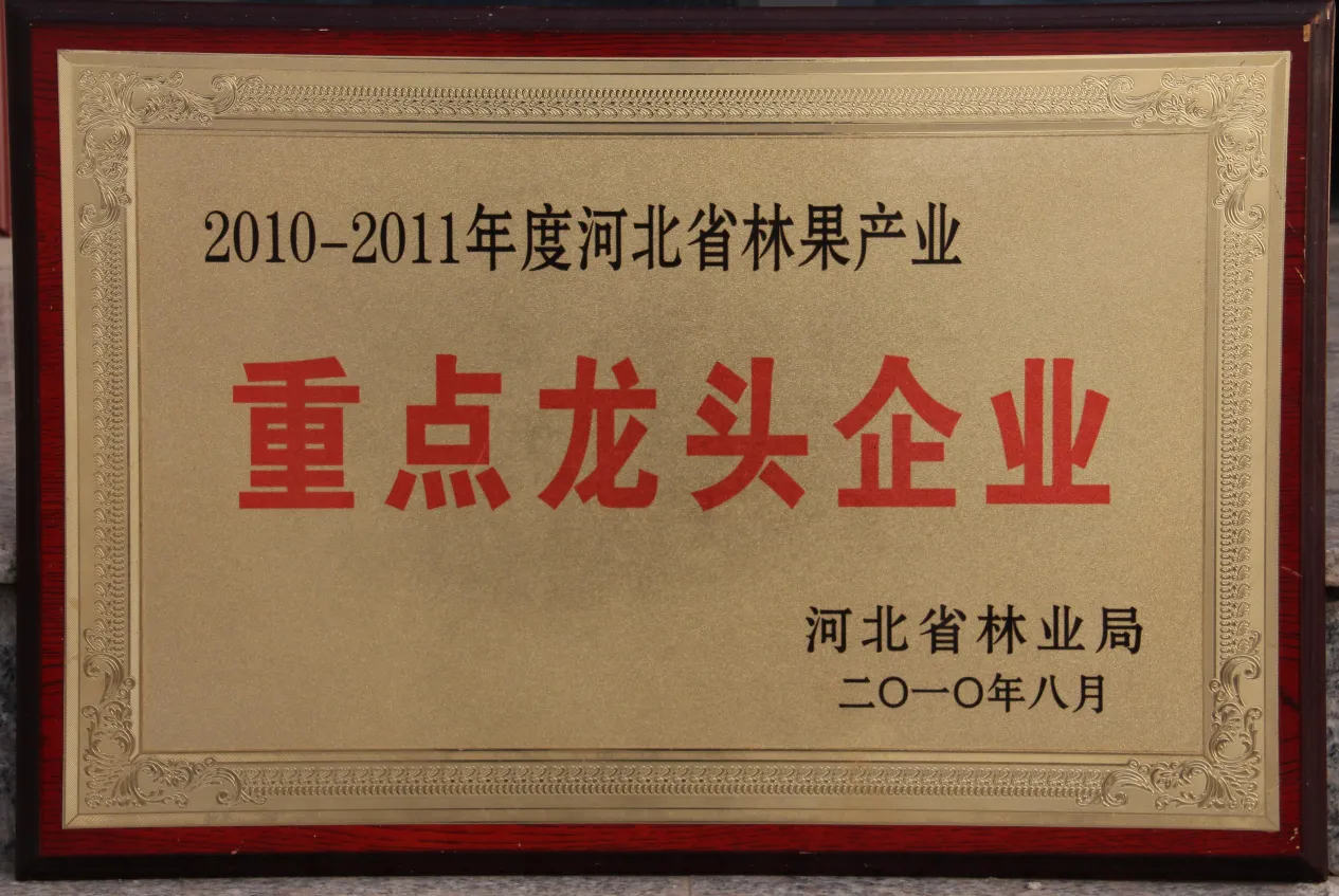 Key Leading Enterprises