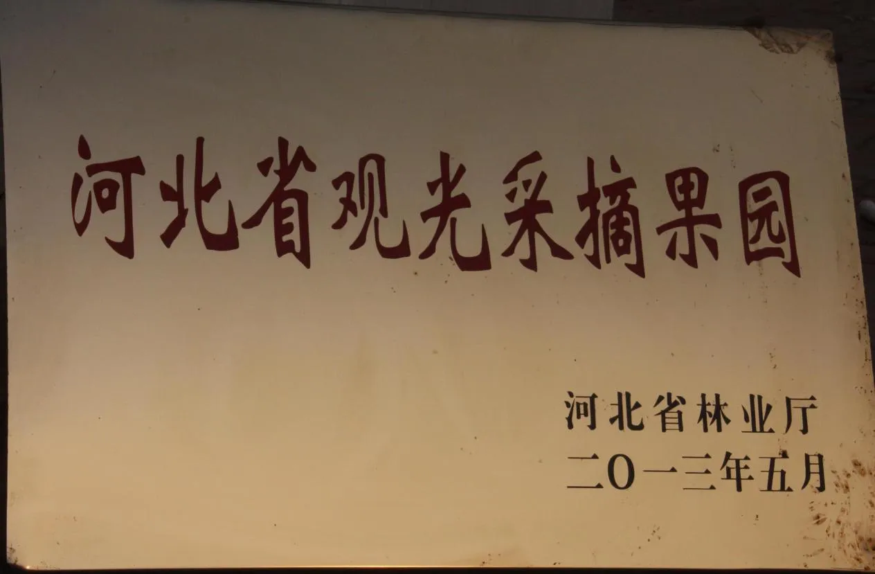 Sightseeing and Picking Gardens in Hebei Province