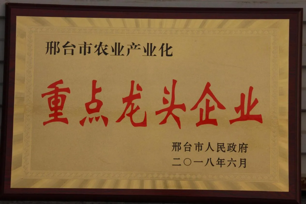 Key Leading Enterprises in Agricultural Industrialization of Xingtai City