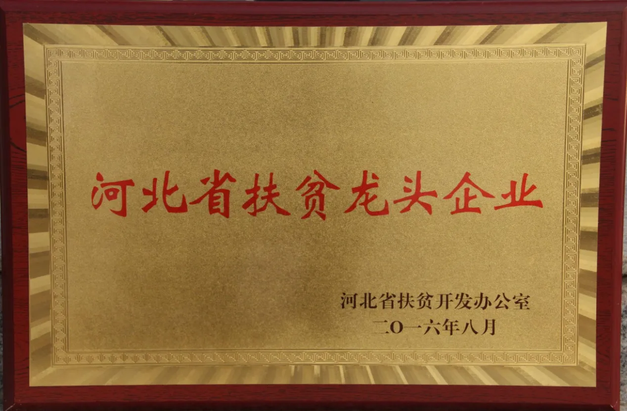 Leading Poverty Alleviation Enterprise