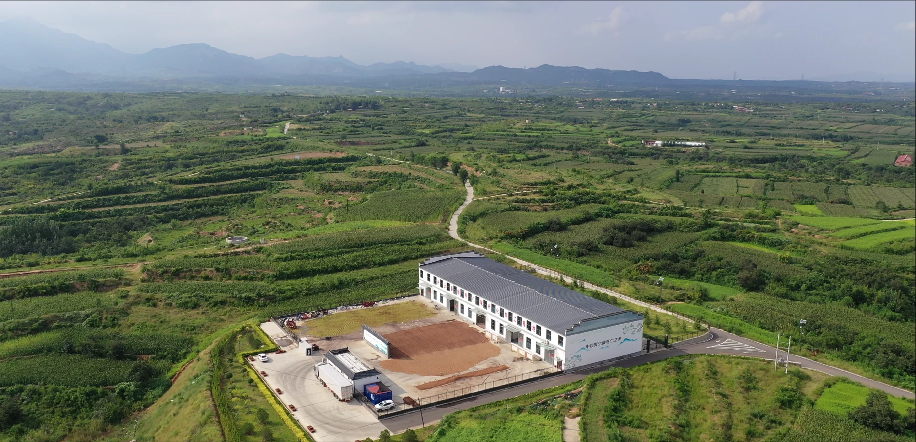 The Power of Sour Jujube Kernel: Your Ultimate Health Companion