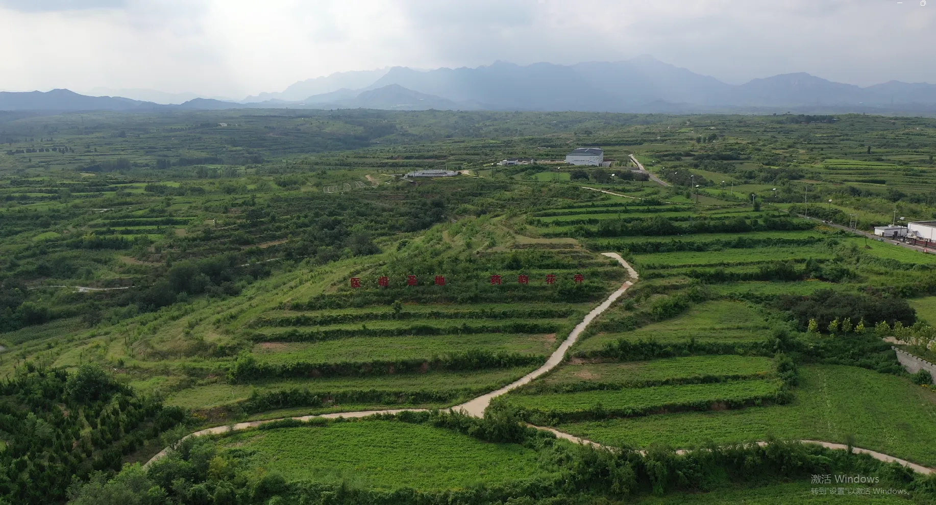 The Power of Sour Jujube Kernel: Your Ultimate Health Companion