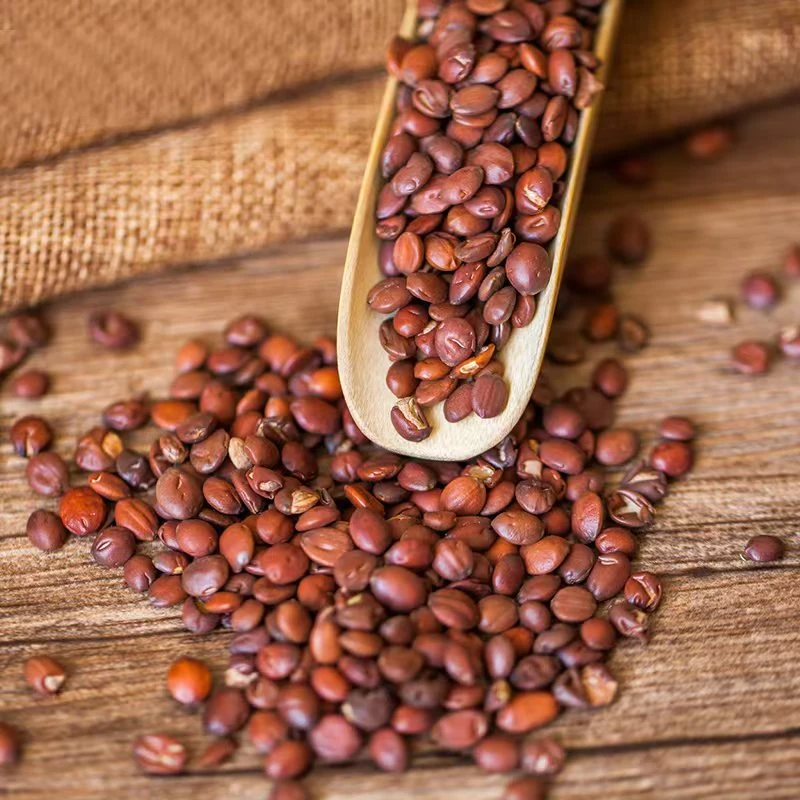 The Wonders of Jujube Tea