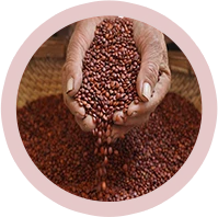 High Effective Content