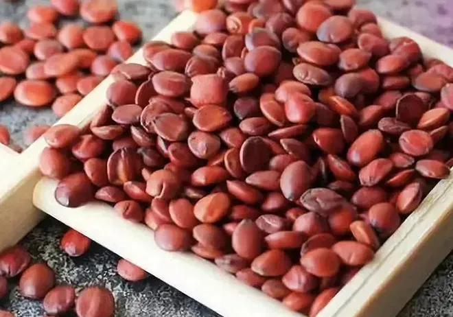 Read More About Detox Soak For Feet