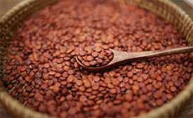 Sour Jujube Kernel Paste (Strip)