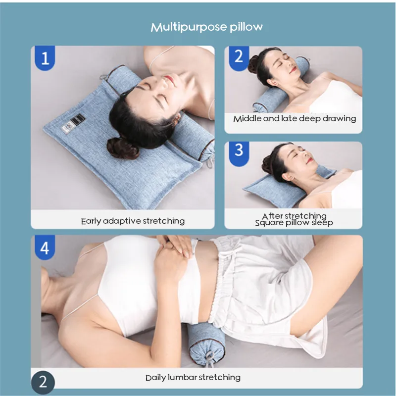 Sour Jujube Kernel Sour Jujube Kernel