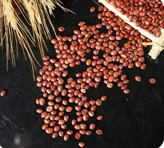 산한 주주베 커널