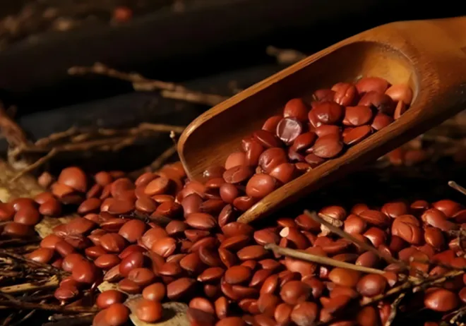 Read More About Chinese Foot Soak Detox