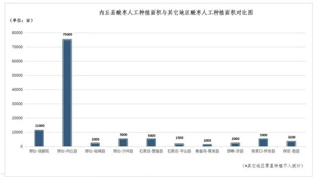 Sour Jujube Sprout Tea