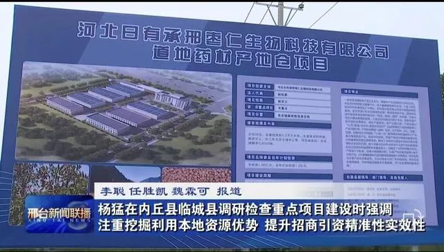 cervical pillow for neck pain