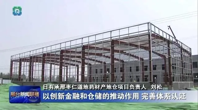 dried ziziphus jujuba mill