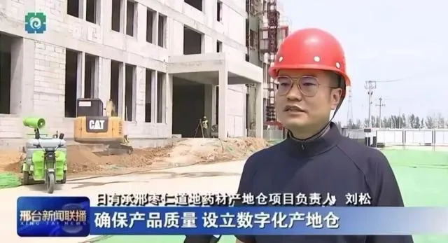 neck pillow filled with seeds