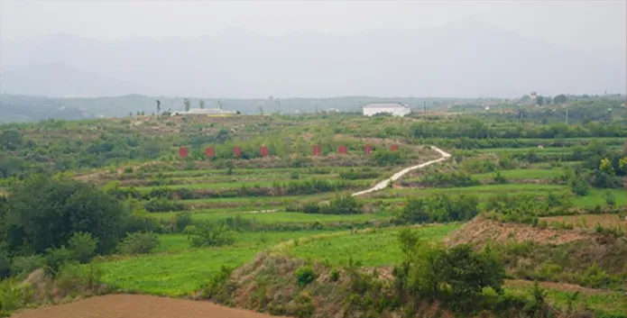 Sour Jujube Shell Integrated Pillow