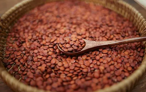 advantages of jujube fruit