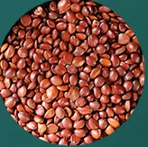 Sour jujube Lily Poria Tea