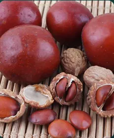 jujube nutrition value