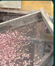 Sour Jujube Kernel Paste (Canned)