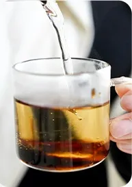 jujube fruit medicinal uses