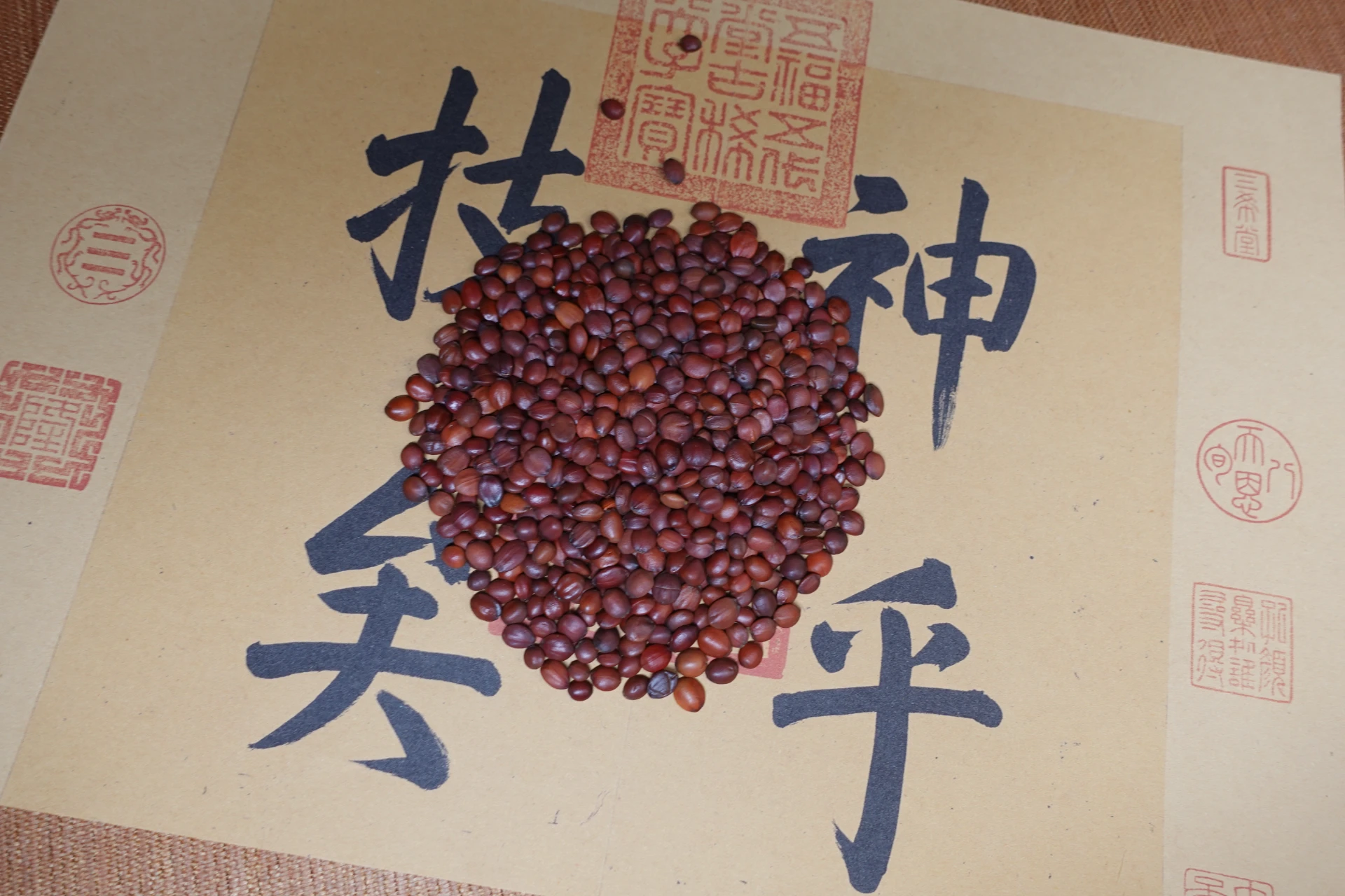 Discover the Comfort of Herbal Pillows