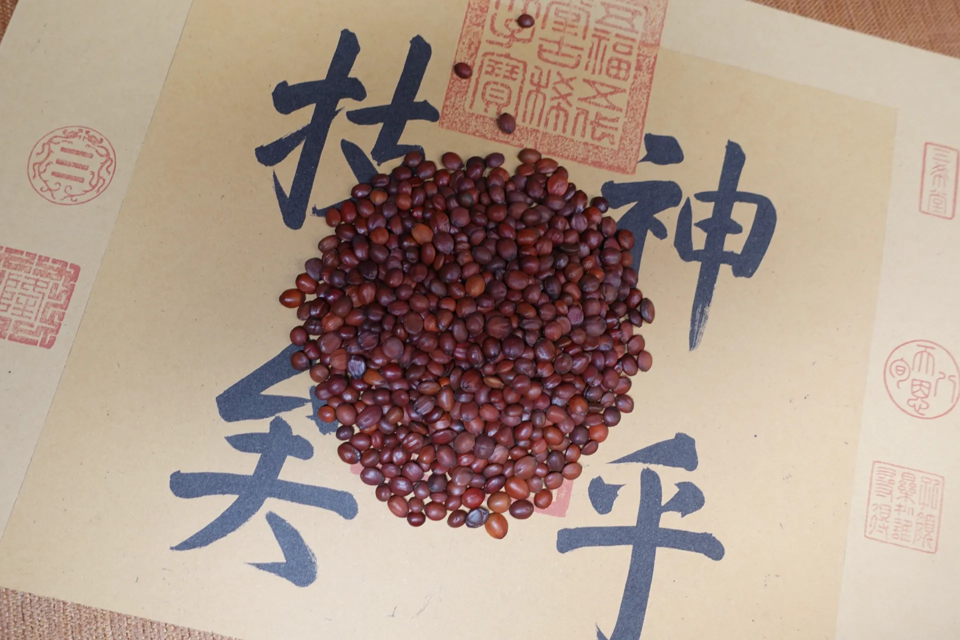 Discover the Comfort of Herbal Pillows