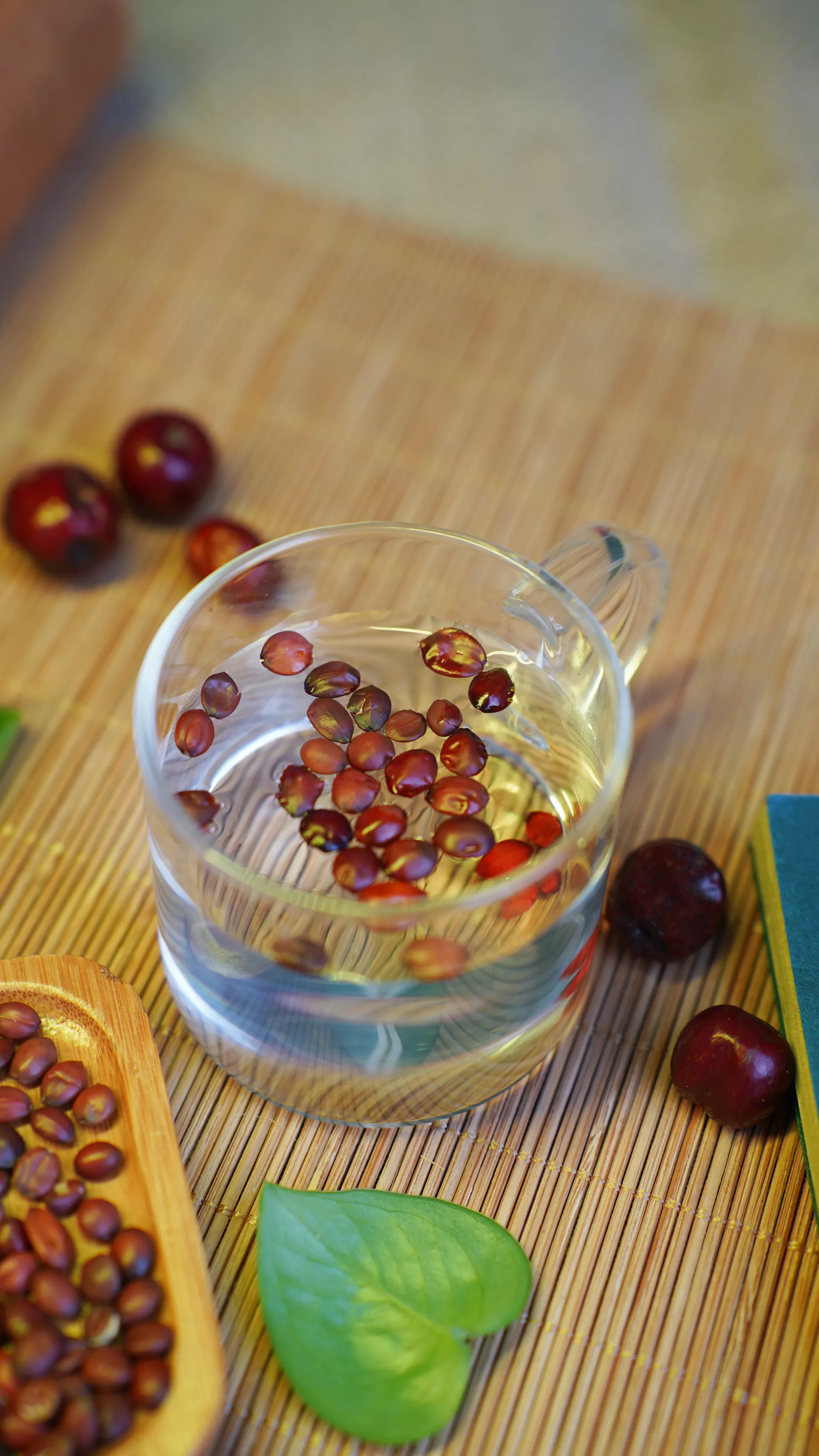 The Amazing Benefits of the Wormwood Foot Bath Bag