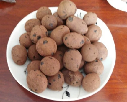 The Benefits of Using Expanded Clay Pebbles in Hydroponics and Soil Gardening