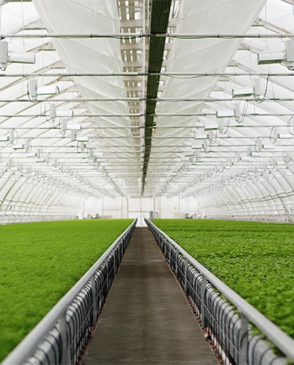 Growing Mediums
Gardening &Horticulture
Hydroponics&Aquaponics
Agricultur al&Greenhouse