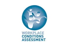 mica powder for paint